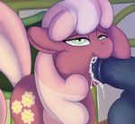  2017 animal_genitalia animal_penis atmosseven balls cheerilee_(mlp) cum cum_in_pussy cum_inside cutie_mark disembodied_penis earth_pony equine equine_penis erection fellatio female feral friendship_is_magic green_eyes hair half-closed_eyes horse male mammal my_little_pony oral penis pony saliva sex solo 