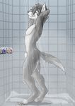  animal_genitalia blue_eyes canine male mammal neash nude sheath shower wet 