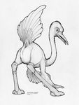  2017 alien animal_genitalia avian beak cloaca ecmajor female gubru jewelry looking_back piercing presenting raised_tail sketch talons wings 