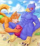  anthro avian beach bird bulge bulge_grab canine clothing duo falco_lombardi fox fox_mccloud male mammal nintendo seaside soliscanis speedo star_fox swimsuit video_games wolf 
