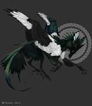  2015 black_feathers canine claws feathers feral green_eyes green_feathers grey_background hybrid mammal simple_background solo tatchit white_feathers 