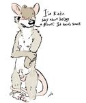  anthro balls blush brown_hair embarrassed english_text flaccid fur hair male mammal marsupial opossum pascal penis rohly shy simple_background small_penis solo text white_background white_belly 