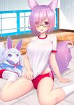  animal_ears bangs black-framed_eyewear blush breasts buruma commentary_request eyebrows_visible_through_hair fate/grand_order fate_(series) fou_(fate/grand_order) glasses gym gym_uniform indoors kneehighs large_breasts looking_at_viewer mash_kyrielight open_mouth purple_eyes purple_hair shirt shoes short_hair short_sleeves sitting solo t-shirt tail thighs uwabaki wariza white_legwear white_shirt yoshiheihe 