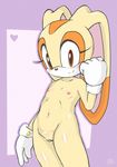  &lt;3 anthro areola big_ears big_eyes blush clothing cream_the_rabbit female fur gloves jetfrozen lagomorph long_ears looking_at_viewer mammal navel nipples nude pussy rabbit smile solo sonic_(series) standing young 