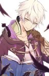  aomeeso black_gloves blurry book closed_mouth feathers fire_emblem fire_emblem:_kakusei fire_emblem_heroes gloves hair_between_eyes holding holding_book hood hood_down long_sleeves looking_at_viewer male_focus male_my_unit_(fire_emblem:_kakusei) my_unit_(fire_emblem:_kakusei) open_book simple_background smile solo upper_body white_background white_hair yellow_eyes 