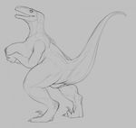  2017 anus big_breasts black_and_white blue_(jurassic_world) breasts claws digital_drawing_(artwork) digital_media_(artwork) dinosaur female holding_breast huge_breasts jurassic_park jurassic_world looking_back monochrome nipples open_mouth pussy raised_tail raptor semi-anthro sharp_teeth side_view simple_background sketch slit_pupils smile solo teeth theropod tongue white_background yaroul 