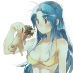  1girl ahoge aisutabetao animal animalization bare_shoulders bikini blue_hair blush_stickers breasts chibi chidori_kaname cleavage collar dog full_metal_panic! holding holding_animal long_hair medium_breasts red_eyes sagara_sousuke spiked_collar spikes swimsuit upper_body white_background yellow_bikini 