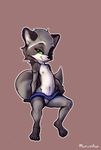  clothing clothing_lift cub female green_eyes lissy mammal merenhor nipples pussy raccoon skirt skirt_lift solo young 