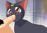  a_cat_is_fine_too bestiality black_fur blush brown_eyes cat crying disembodied_penis feline fellatio female feral fur human interspecies luna luna_(sailor_moon) male mammal moon oral oral_sex penis sailor_moon sex sex-blade straight tears whiskers 