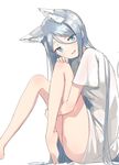  :d animal_ears aqua_eyes extra_ears fang fox_ears fox_tail hand_on_own_knee highres light_blue_hair long_hair looking_at_viewer naked_shirt nosuku open_mouth original shirt silver_hair simple_background sitting sketch smile tail white_background 