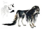  4_toes black_fur black_hair black_nose canine claws fur hair mammal paws simple_background tatchit toes white_background 