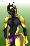  2017 5_fingers anthro athletic black_fur black_nose brown_hair bulge canine cinta clothing ears_back fur gloves_(marking) green_background green_eyes grin hair hi_res male mammal markings multicolored_fur scar scar_across_eye simple_background smile solo standing two_tone_fur underwear wolf yellow_fur 
