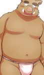  2019 anthro belly blush boar brown_fur clothing fundoshi fur japanese_clothing kick_(artist) male mammal moobs navel nipples overweight overweight_male porcine simple_background solo underwear white_background 