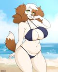  2017 anthro beach big_breasts bikini boxollie breasts canine clothing cloud cute dog female green_eyes invalid_tag mammal navel open_mouth pose sand sea seaside skimp sky slightly_chubby swimsuit water 