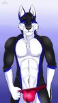  2017 5_fingers abs anthro black_fur black_hair black_nose blue_background blue_eyes blue_fur bulge canine cinta clothing dog eyebrows flookie front_view fur hair hi_res husky looking_at_viewer male mammal multicolored_fur muscular simple_background smile solo standing teasing underwear white_fur wolf 