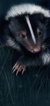  2010 ambiguous_gender black_fur claws digital_media_(artwork) digital_painting_(artwork) feral foxbane front_view fur grass heterochromia looking_at_viewer mammal multicolored_fur photorealism pink_nose quadruped skunk snout solo two_tone_fur whiskers white_fur 