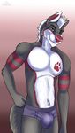  2017 anthro athletic bulge canine cinta clothing eyebrows fur grey_eyes grey_fur hair hand_on_hip hi_res looking_at_viewer male mammal markings multicolored_fur pose red_fur red_nose simple_background smile solo standing tight_underwear underwear white_fur white_hair wolf 