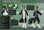  2017 4_toes 5_fingers absurd_res anthro black_fur butt canine claws close-up crazyeyes design digitigrade english_text fluffy fluffy_tail fox front_view fur green_eyes green_fur green_hair grey_fur grin hair hi_res hybrid inner_ear_fluff looking_at_viewer mammal model_sheet multicolored_fur multicoloured_tail pawpads paws rear_view skunk slit_pupils smile solo standing stripes teeth text toe_claws toes tongue tongue_out ventusthesox white_fur 