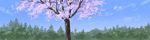  blue_sky cherry_blossoms cloud commentary day forest highres hirota_(masasiv3) long_image nature no_humans outdoors panorama scenery sky tree wide_image 