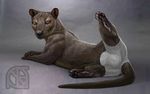  anthro black_nose butt clothing cosmiclife fossa hi_res looking_at_viewer looking_back male mammal muscular paws pinup pose semi-anthro smile solo spread_legs spreading underwear whiskers 