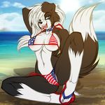  beach bikini black_fur blue_eyes canine clothing crystal-for-ever dog female fur hi_res looking_at_viewer mammal open_mouth seaside solo swimsuit tongue tongue_out white_fur 