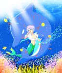  akazukin_chacha dolphin heron merman sea 