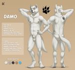  2017 4_toes 5_fingers abs animal_genitalia anthro balls barefoot biceps biped black_nose blue_eyes canine claws color_swatch damo digital_media_(artwork) digitigrade english_text fluffy fluffy_tail front_view fur grey_claws hand_behind_head hand_on_hip hi_res looking_at_viewer male mammal model_sheet multiple_angles muscular muscular_male navel nipples nude pawprint pecs penis penis_tip pink_nipples pink_penis rear_view rov sheath signature simple_background smile snout solo standing tan_background tattoo text toe_claws toes white_balls white_fur white_tail wolf 
