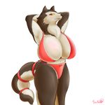  amber_eyes anthro armello big_breasts bikini blush breasts canine clothing female hands_behind_head hi_res huge_breasts mammal open_mouth river_(armello) solo sutasl swimsuit white_backtround wolf 