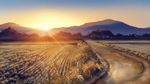  building commentary_request field gradient_sky grass horizon house light_rays mountain mountainous_horizon no_humans original outdoors path road rural scenery sky sun sunrise tree village yuu_knmy 