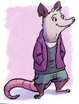  2017 anthro barefoot clothed clothing denim_shorts ear_piercing female fuel_(artist) hands_in_pockets mammal marsupial opossum piercing sharp_teeth shorts smile solo standing teeth 