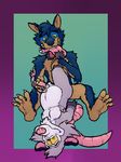  2017 4_fingers anthro azul_(artist) balls bdsm biped bondage bound canine claws digital_media_(artwork) duo erection foot_fetish foot_lick fur handjob licking male male/male mammal marsupial nude open_mouth opossum paws penis sex simple_background toes tongue tongue_out wolf 