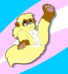  balls bits cute fan_character ferret invalid_tag mammal mustelid showing shy skunket 