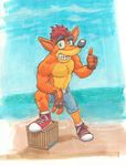  2016 anthro azul_(artist) bandicoot clothed clothing crash_bandicoot crash_bandicoot_(series) footwear fur gloves hair looking_at_viewer male mammal marsupial muscular muscular_male pecs shoes smile sneakers solo video_games 