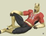  2017 5_fingers abs alistair_goldmane anthro arm_support biceps biped black_bottomwear black_clothing black_hooves black_pants brown_eyes brown_fur clothed clothing digital_media_(artwork) equine eyebrows fingerless_(marking) football_jersey football_player football_uniform fully_clothed fur hair hooves horse humanoid_hands jersey leaning_on_elbow looking_at_viewer male mammal multicolored_fur muscular muscular_male nipple_bulge pants pecs reclining red_clothing red_shirt red_topwear rov shirt short_hair signature simple_background snout solo tan_fur tan_hair tan_tail uniform white_background 