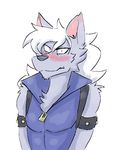  ambiguous_gender anthro blue_vest blush canine clothed clothing doopcity embarrassed fluffy fur grey_fur hair hi_res long_hair male mammal pretty_cure reaction_image vest white_hair wolf wolfrun zipper 