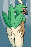  2017 anthro anus avian backsack balls beak bird blush butt carpetwurm decidueye hi_res looking_back male nintendo owl pok&eacute;mon presenting presenting_hindquarters pseudo_clothing raised_tail rear_view smile solo video_games 