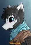 andromorph anthro blue_eyes canid canine canis clothing fur grey_body grey_fur hair intersex invalid_tag male mammal mask messy_hair noble_(nobledreameater) scarf skulldog_(species) solo wolf zeptophidia