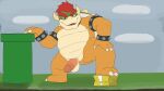 !_block animated anthro balls bowser genitals hi_res koopa male mario_bros nintendo nobodyshouse nude nude_male penis presenting presenting_penis scalie solo warp_pipe