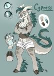 anthro bottomwear clothed clothing crossed_arms cypress_(pineconepaladin) dragon eastern_dragon female fur furred_dragon hi_res hooves horn hypnotic_eyes mane muscular muscular_female pawpads pineconepaladin shirt shorts solo tank_top topwear