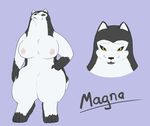  anthro armello badroy big_breasts black_sclera blue_background breasts canine female magna_(armello) mammal nipples nude simple_background smile thick_thighs wolf yellow_eyes 