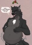anthro anthro_pred belly big_belly canid canine canis christmas digestion domestic_dog fur hi_res holidays husky hybrid male male_pred mammal misteltoe nordic_sled_dog oral_vore redem0n simple_background solo spitz tail videlthewusky vore wolf wolfdog