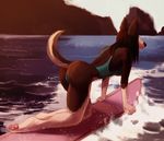  anthro black_fur black_hair breasts butt canine clothing detailed_background eri-yo female fur hair looking_away mammal outside pawpads side_boob solo surfboard surfing swimsuit wet white_fur 