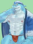  1boy abs bara claws commentary_request dorsal_fin fin_piercing fins fish_tail fuga9 fundoshi furry furry_male gills happi isaribi_(live_a_hero) japanese_clothes live_a_hero looking_at_viewer male_focus multiple_scars muscular muscular_male nipples open_happi pectorals red_fundoshi scar scar_on_arm scar_on_chest scar_on_face scar_on_leg scar_on_nose scar_on_tail shark_boy shark_tail sharp_teeth tail teeth 