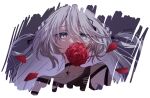  1girl braid commentary covered_collarbone falling_petals floating_hair flower grey_eyes hair_between_eyes kashikaze long_hair looking_at_viewer nijisanji petals portrait rose solo sophia_valentine sophia_valentine_(1st_costume) transparent_background virtual_youtuber white_hair 