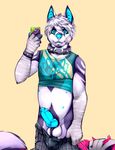  2017 5_fingers anthro balls bastion blue_eyes blue_nose claws clothed clothing collar digital_media_(artwork) erection facial_piercing fangs foreskin fur genital_piercing glowing hair knot lip_piercing looking_at_viewer male mammal multicolored_fur multicolored_tail navel nipples nose_piercing nose_ring pants_down partially_clothed partially_retracted_foreskin penis penis_piercing phone piercing selfie sharp_claws short_hair simple_background solo standing uncut underwear white_hair wristband yellow_background 