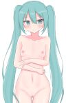 1girl ass_visible_through_thighs blue_eyes blue_hair blush breasts cleft_of_venus completely_nude cowboy_shot furrowed_brow hatsune_miku highres long_hair navel nipples nude sasapi simple_background small_breasts solo sweatdrop twintails very_long_hair vocaloid white_background 