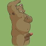  2017 anthro ball belly blush boar green_background male mammal navel penis porcine simple_background slightly_chubby solo wdh3905 won7373kr 