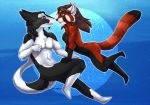  2019 ailurid aki_de-volfs.ar anthro breasts brown_hair digital_media_(artwork) duo female green_eyes hair male mammal red_eyes red_panda sergal smile 