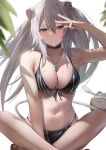  1girl absurdres animal_ear_piercing animal_ears arm_up bikini black_bikini blurry breasts closed_mouth commentary_request crossed_ankles dog_tags grey_eyes grey_hair highres hololive indian_style large_breasts leaf lion_ears lion_girl looking_at_viewer navel partial_commentary sandals shishiro_botan sitting smile solo_focus ssrb_(shishiro_botan) stomach swimsuit tail tataki_worker virtual_youtuber w wet 