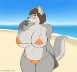  2017 anthro areola beach big_breasts bikini blush breasts brown_hair canine clothed clothing corporalbackrubs digital_media_(artwork) female fur gloves_(marking) grey_fur hair hi_res huge_breasts mammal markings micro_bikini navel nipple_bulge nipple_slip orange_eyes outside sand sea seaside short_hair shy skimpy sky slightly_chubby solo swimsuit thick_thighs voluptuous water wide_hips wolf 